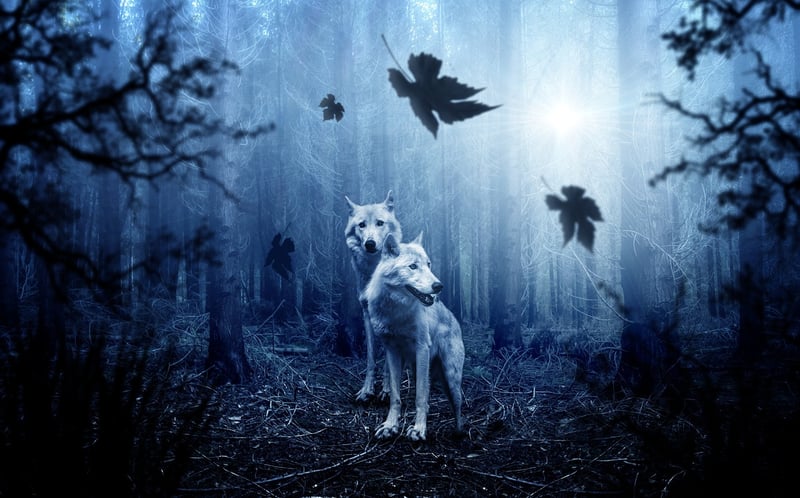 Moonlight Elegance