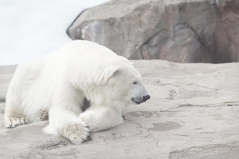 Polar Romance Getaways